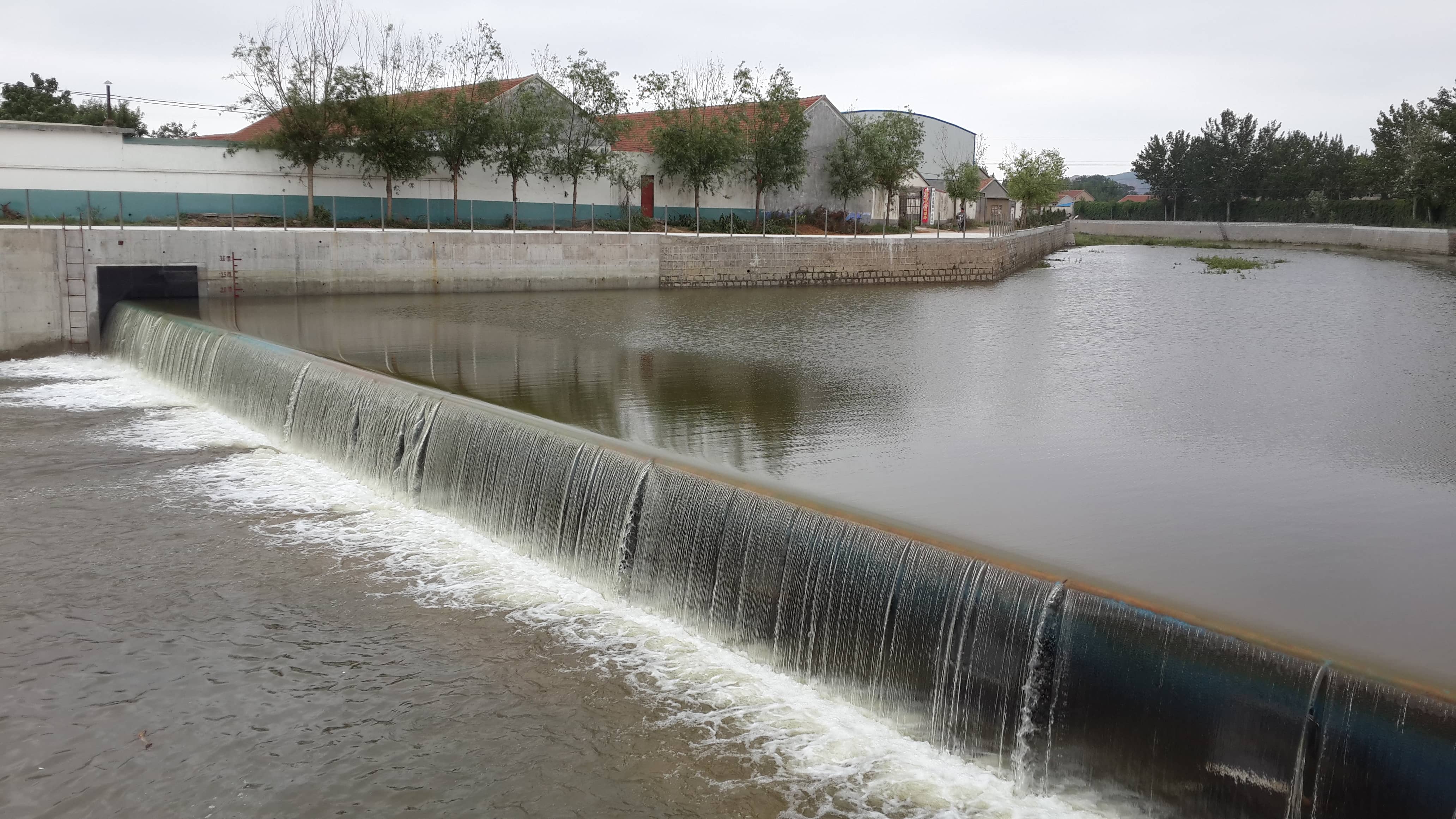 山東絳水河 (5).jpg